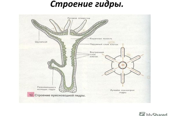 Кракен торговая площадка даркнет