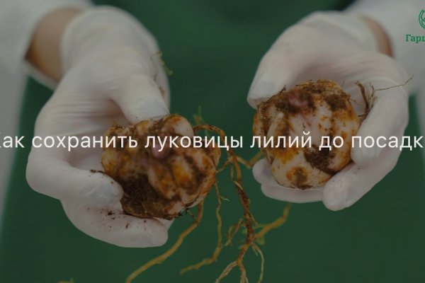 Кракен сайт даркнет ссылка