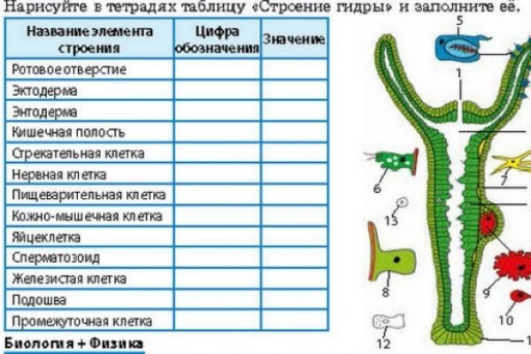 Актуальные ссылки на кракен тор