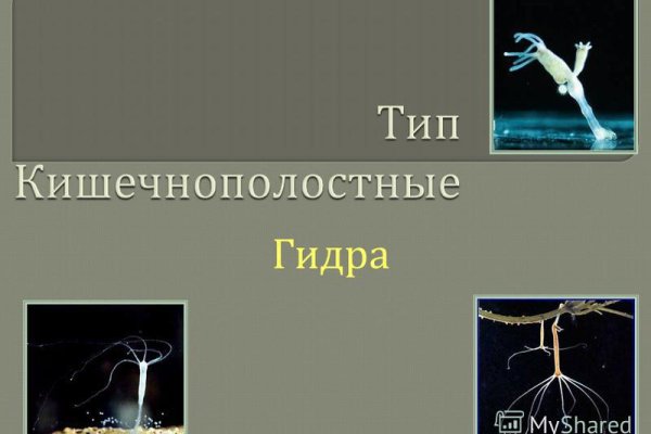Kraken рабочая ссылка onion
