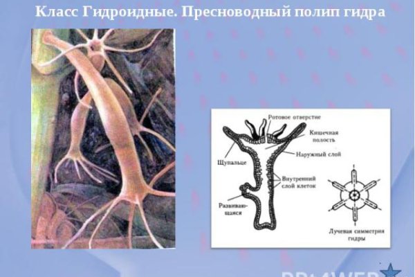 Как найти актуальную ссылку на кракен
