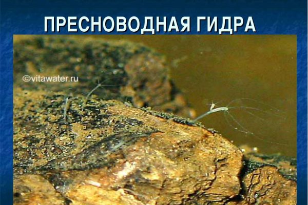 Аналог гидры